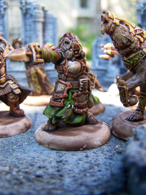 Widowers Wood Hero agata